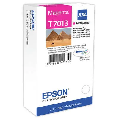 Epson T7013XXL-C13T70134010 Kırmızı Orijinal Kartuş - Epson
